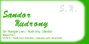 sandor mudrony business card